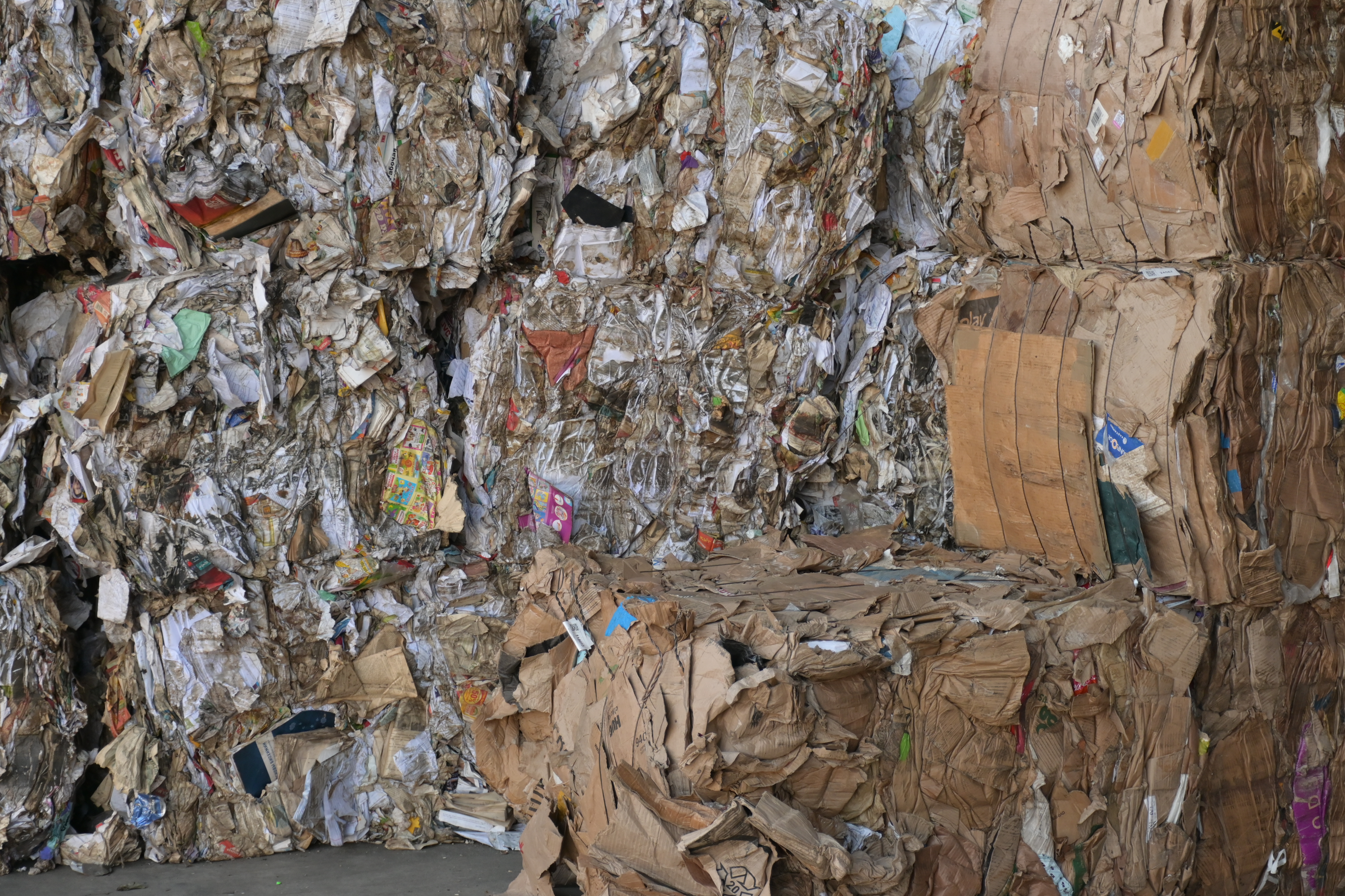 540 тысяч деревьев спасено благодаря отправленной на переработку компанией «РТ-Инвест» макулатуре 